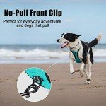 PoyPet No Pull Reflective Dog Harness - Mint Blue