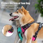 PoyPet No Pull Reflective Dog Harness - Mint Blue