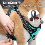 PoyPet No Pull Reflective Dog Harness - Mint Blue