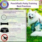 PoochPad Dog Potty Training Attractant Spray - 16 oz