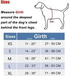 PoyPet No Pull Reflective Dog Harness - Mint Blue