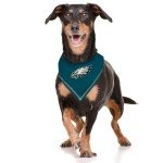 NFL Philadelphia Eagles Dog Bandana for Pets