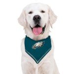 NFL Philadelphia Eagles Dog Bandana for Pets
