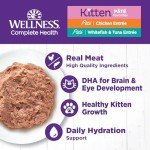 Wellness Complete Health Grain-Free Kitten Wet Food