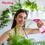 DilaBee 12oz Spray Bottles - 3 Pack