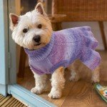 Cozy Turtleneck Sweater for Small Dogs