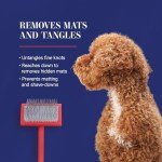 Chris Christensen Big G Dog Slicker Brush - Coral