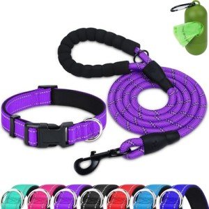 Reflective Dog Collar and Leash Set for Large Dogs