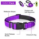 Reflective Dog Collar and Leash Set for Large Dogs