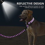 Reflective Dog Collar and Leash Set for Large Dogs