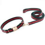Durable Luxury Dog Collar and Leash Set
