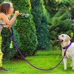 Reflective Dog Collar and Leash Set for Large Dogs