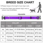 Reflective Dog Collar and Leash Set for Large Dogs