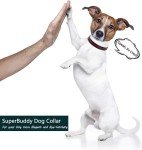 Durable Luxury Dog Collar and Leash Set