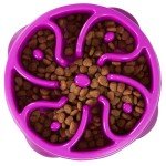 Outward Hound Fun Feeder Slow Feed Bowl, Small