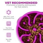 Outward Hound Fun Feeder Slow Feed Bowl, Small