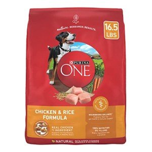 Purina ONE Chicken & Rice Dry Dog Food 16.5 lb