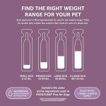 Solimo Large Dog Flea and Tick Treatment, 6 Doses