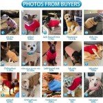 Mihachi Turtleneck Cable Knit Dog Sweater