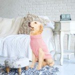 Mihachi Turtleneck Cable Knit Dog Sweater