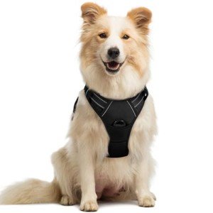 Rabbitgoo No-Pull Dog Harness with Adjustable Clips