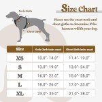 Rabbitgoo No-Pull Dog Harness with Adjustable Clips