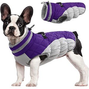 Warm Reflective Dog Jacket with Built-in Harness