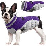 Warm Reflective Dog Jacket with Built-in Harness