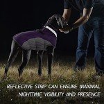 Warm Reflective Dog Jacket with Built-in Harness