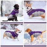 Warm Reflective Dog Jacket with Built-in Harness