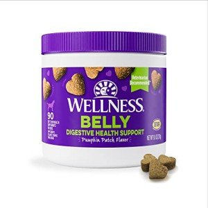 Wellness Pumpkin Chews for Dog Digestive Health - 90 Count