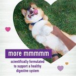 Wellness Pumpkin Chews for Dog Digestive Health - 90 Count