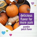 Wellness Pumpkin Chews for Dog Digestive Health - 90 Count