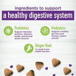 Wellness Pumpkin Chews for Dog Digestive Health - 90 Count