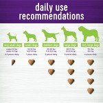 Wellness Pumpkin Chews for Dog Digestive Health - 90 Count