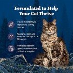 Blue Buffalo Wilderness Grain-Free Dry Cat Food