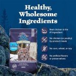 Blue Buffalo Wilderness Grain-Free Dry Cat Food