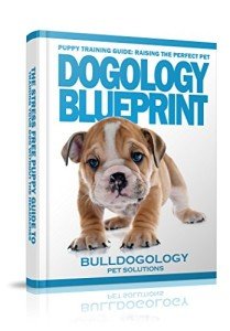 Puppy Training Made Easy: The Stress-Free Guide