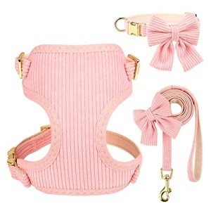 Didog Cute Small Dog Harness, Collar & Leash Set