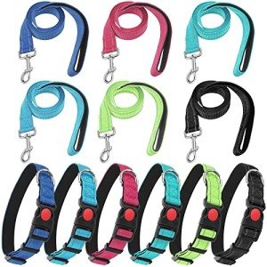 Reflective Nylon Dog Leash and Collar Set