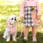 Didog Cute Small Dog Harness, Collar & Leash Set