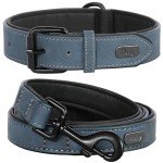 Soft Padded Leather Dog Collar and Leash Set