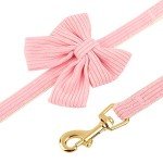 Didog Cute Small Dog Harness, Collar & Leash Set