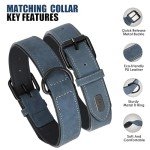 Soft Padded Leather Dog Collar and Leash Set
