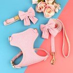 Didog Cute Small Dog Harness, Collar & Leash Set