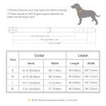 Soft Padded Leather Dog Collar and Leash Set