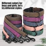 Soft Padded Leather Dog Collar and Leash Set