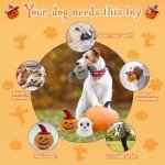 Halloween Dog Squeaker Toys - 3 Pack