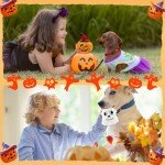 Halloween Dog Squeaker Toys - 3 Pack