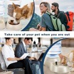 Automatic Pet Food and Water Bowls Set